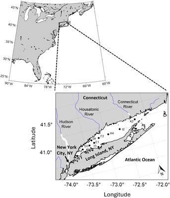 Droughts and deluges: changes in river discharge and the carbonate chemistry of an urbanized temperate estuary